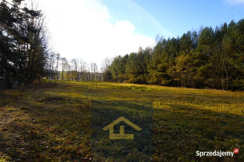 Działka z linią brzegową jeziora 160m Ruś Mała