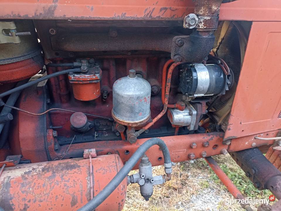 MTZ 550 z silnikiem D240 80 Złotnik