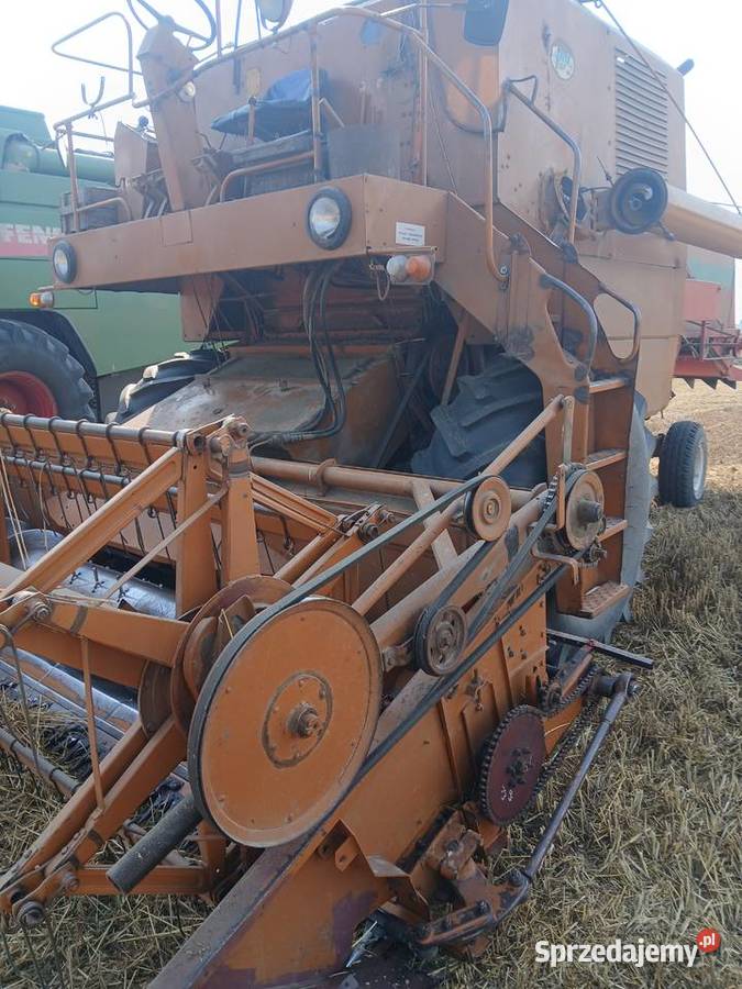 bizon 56 Oleśniki