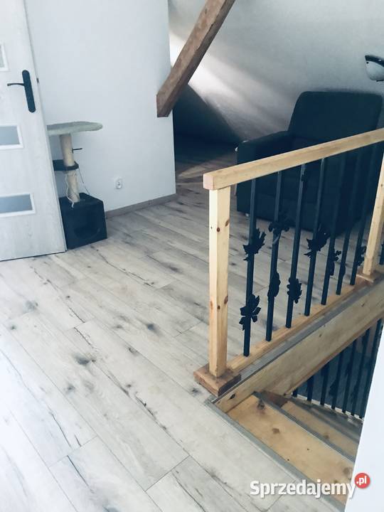 Dom na Kaszubach lesie Nieruchomości Wierzchocina