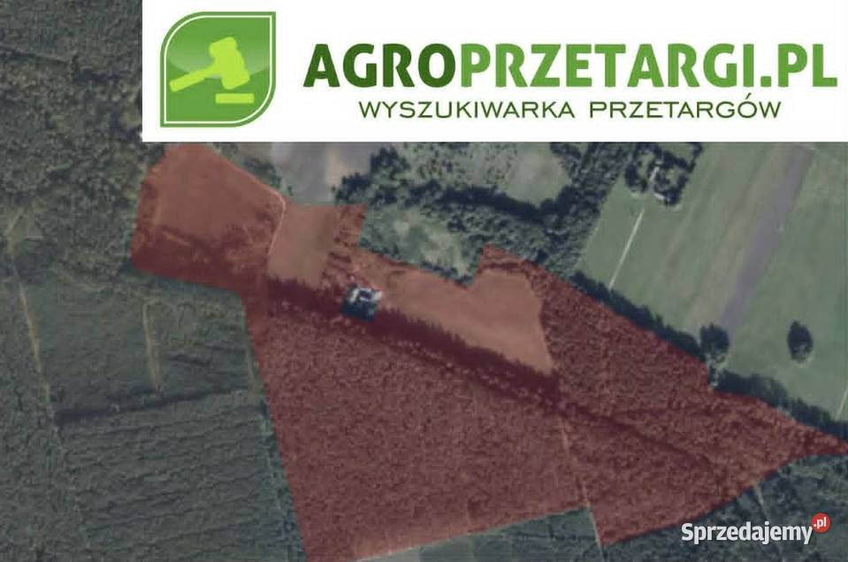 Dzierżawa 1055 ha gruntu rolnego Oborniki sprzedam
