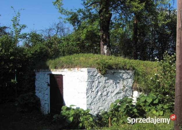 Sprzedam daszek do wykonania ziemianki Wolbrom