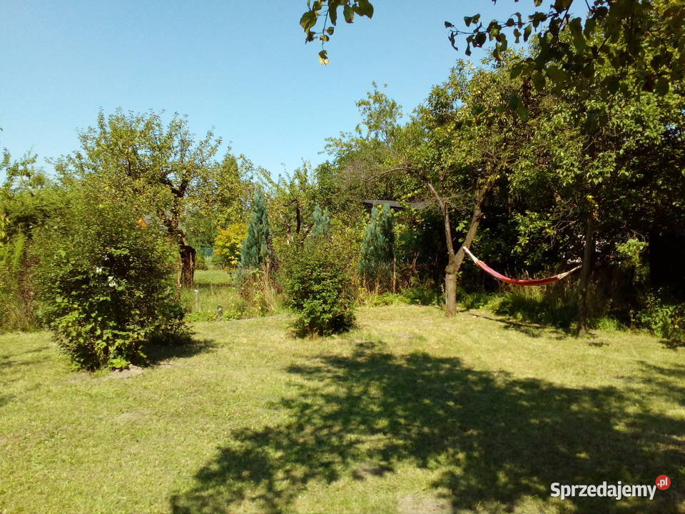 Działka ROD na tyłach Wola Parku Warszawa