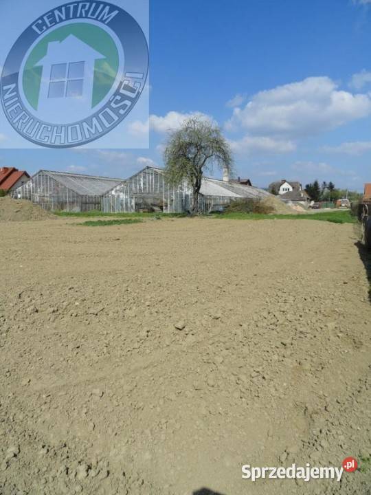 Sprzedaż gruntu 5600m2 Nowy Sącz budowlana małopolskie