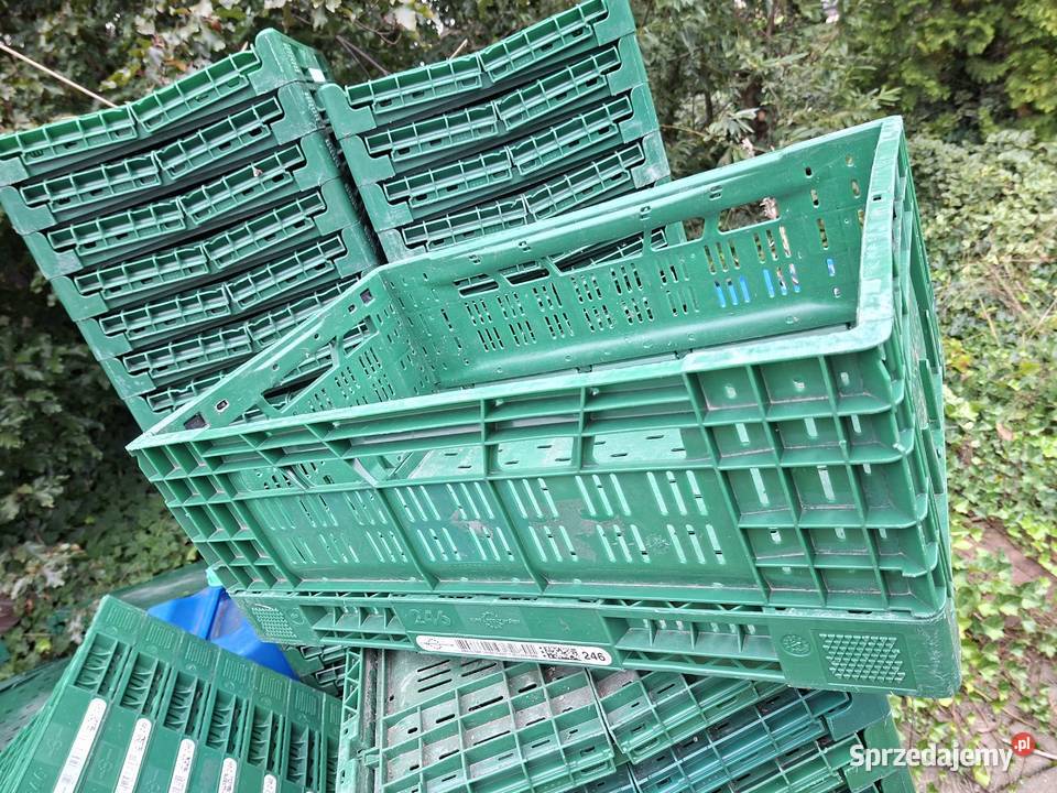 Skrzynki plastikowe owoce warzywa składane