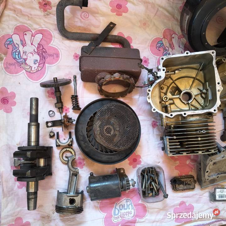 Silnik Briggs Stratton 12HP Krzczonów-Folwark