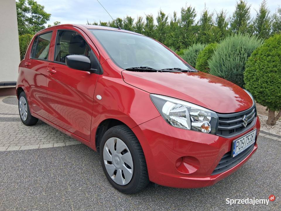 Suzuki Celerio 10 z Polskiego Salonu Samochody osobowe wielkopolskie Gorzyce Wielkie