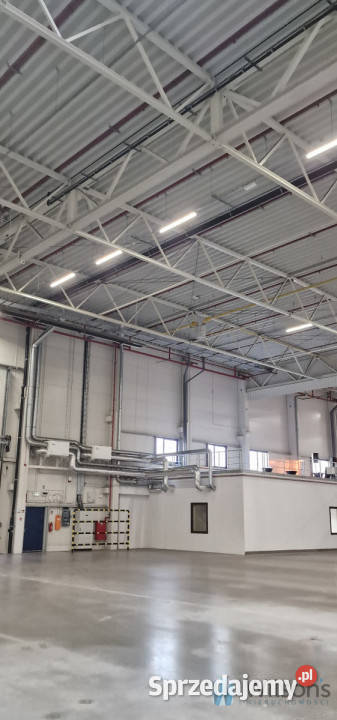 wynajmu lokalu 14005m2 Ożarów Mazowiecki 14005m2