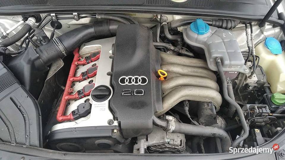 Audi A4 B6 Xenon 20 130 Manual Skała