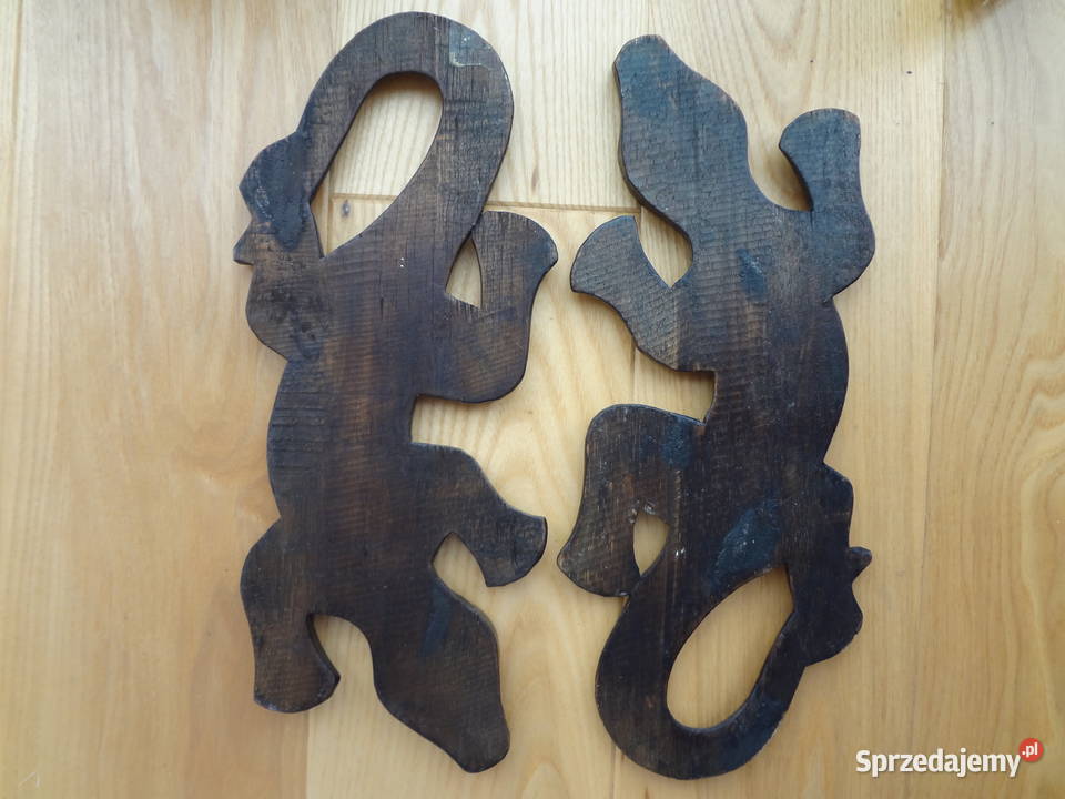 salamandry jaszczurki dolnośląskie Wrocław