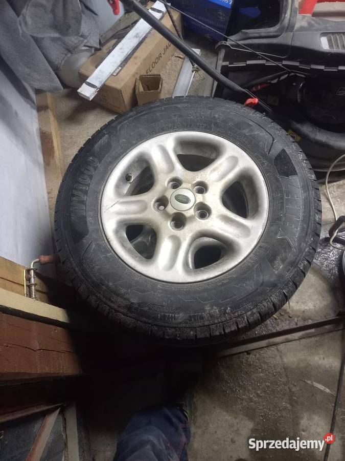 Kola landrover Wielgus