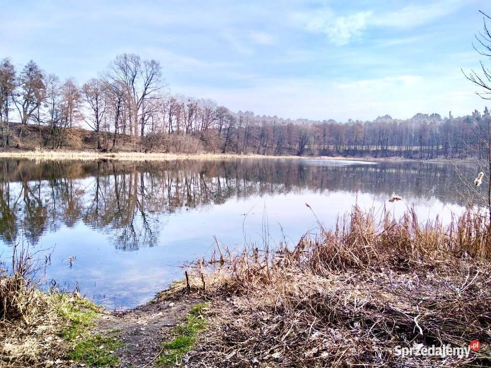 Sprzedam działkę usługowobudowlaną w m Bielice w