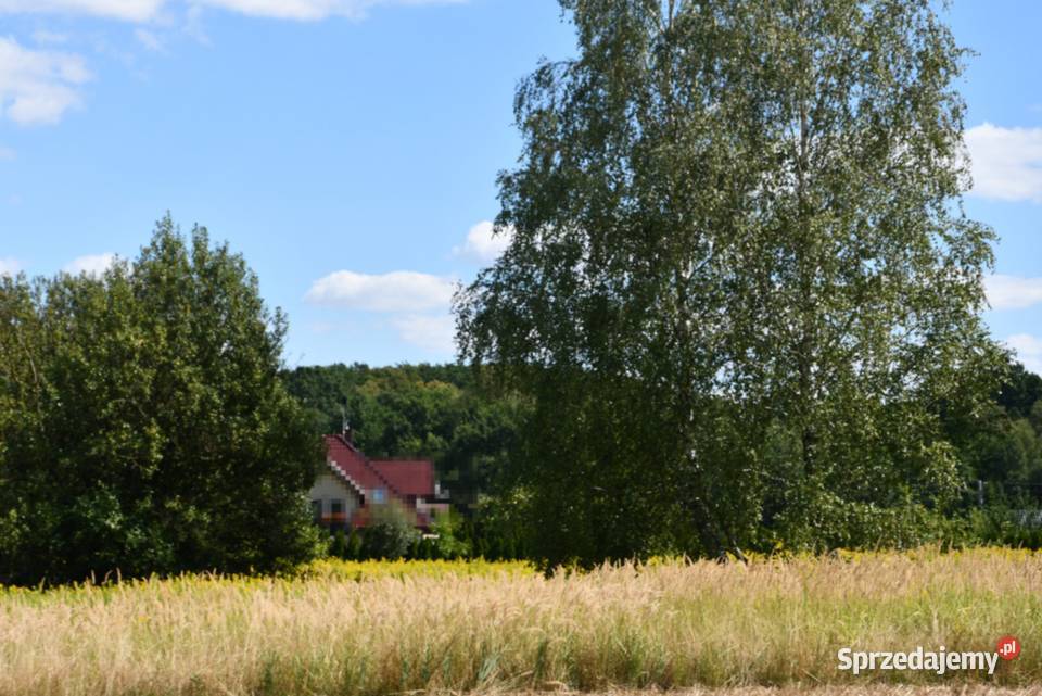 Działka rolna 43a Strażów