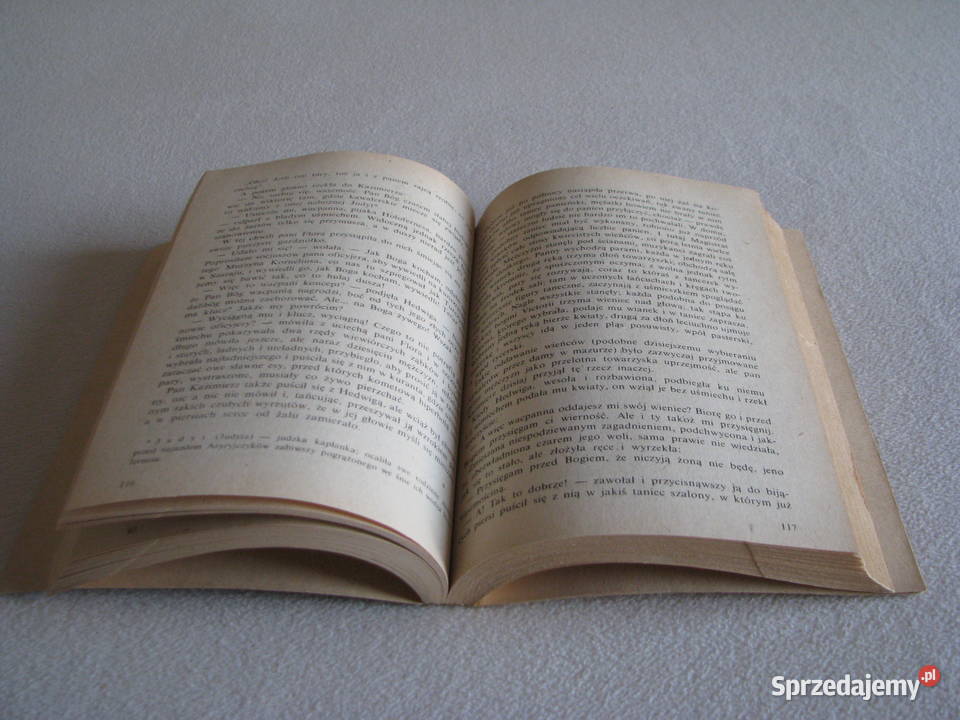 Panienka z okienka Deotyma Jadwiga Łuszczewska Brzegi sprzedam