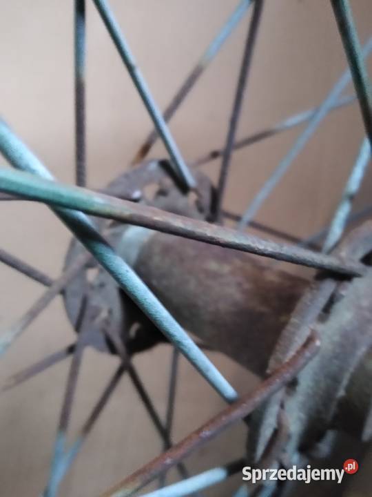 Junak m10 awo turist koło wózka stole 19 calu Kruszwica