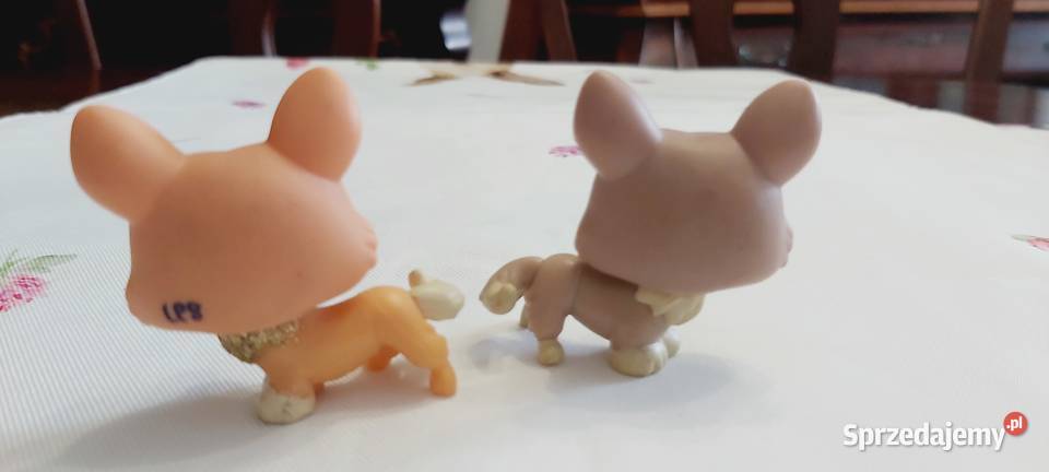 Corgi 2 pieseki z LPS zestaw Braniewo