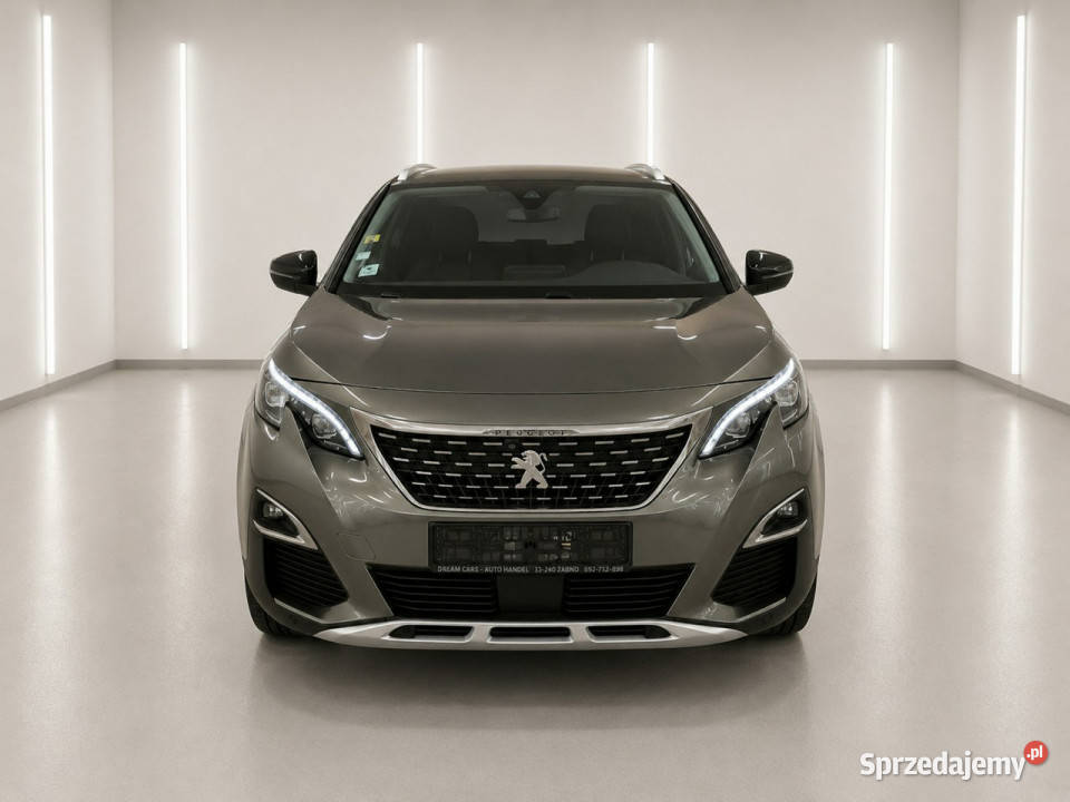 Peugeot 3008 16 Żabno