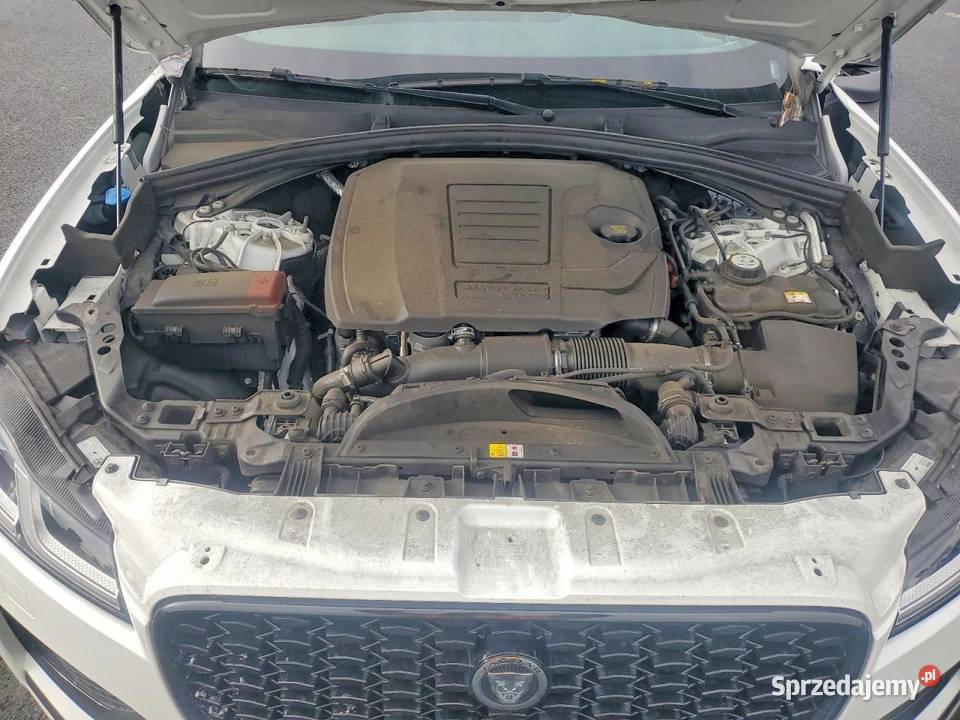 2024 JAGUAR FPACE RDYNAMIC S benzyna Częstochowa