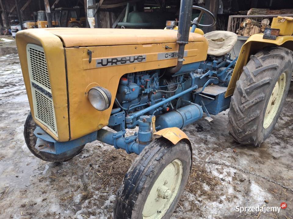 Ciągnik ursus c4011c355c360 Zarejestrowany Ursus Szczucin