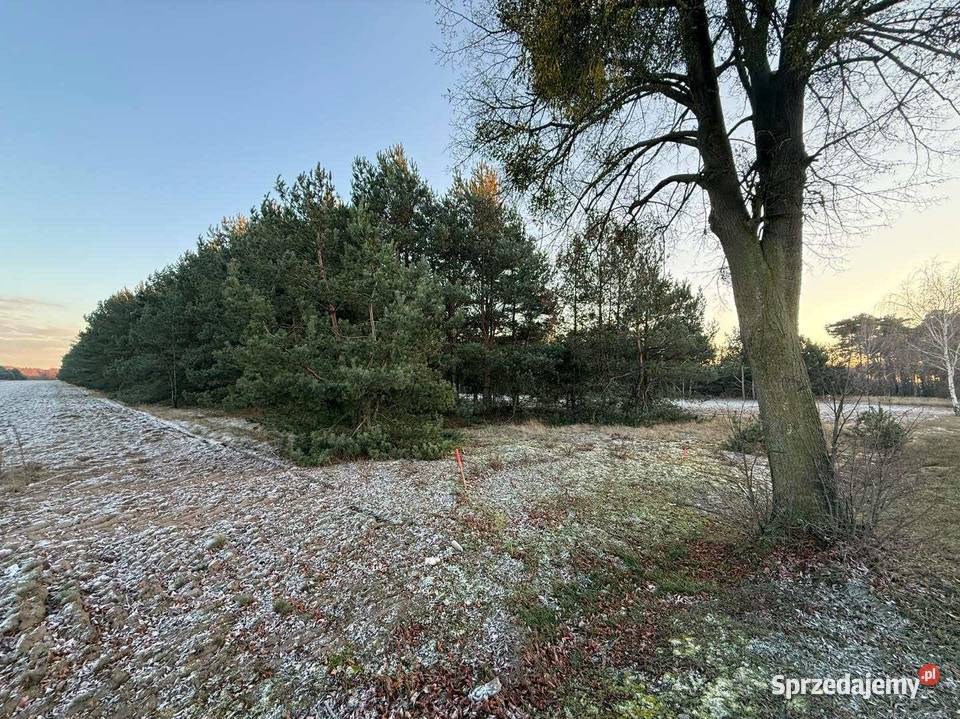 Działki budowlane na sprzedaż Józefowo k Słupcy Piotrowice