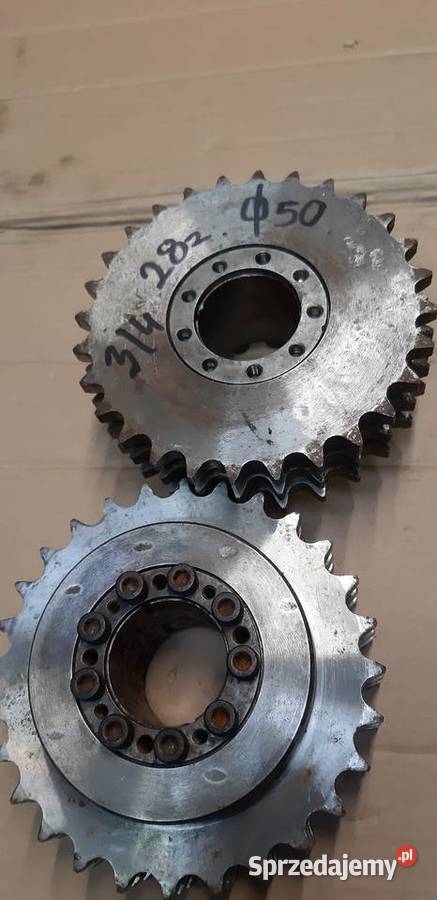 Koło łańcuchowe wielkopolskie Leszno