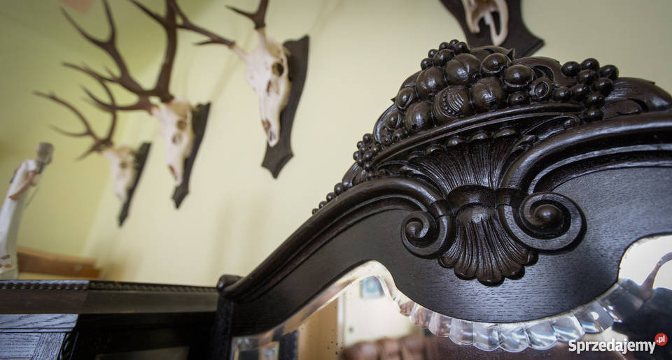 Antyczne meble do salonu Cieszyn