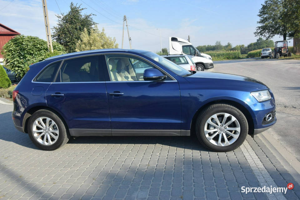Audi Q5 20TDI 2016rSkóra Panorama Ledy 1968cm3 Q5 Majdan Sieniawski