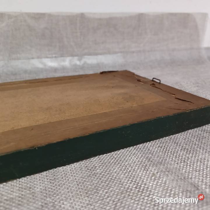 Kozice w wysokich górach Wrocław sprzedam