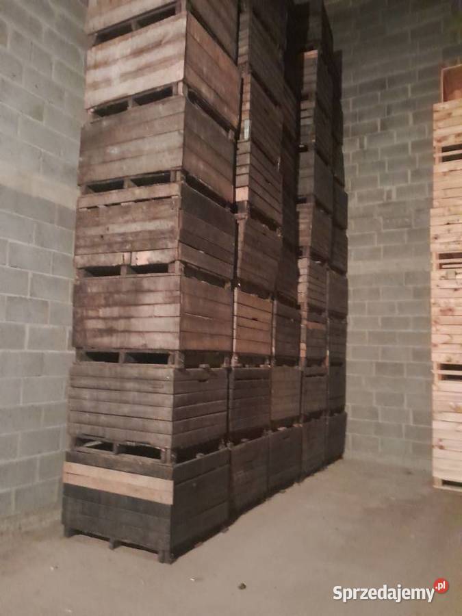 Skrzyniopalety na jabłka Sadkowice