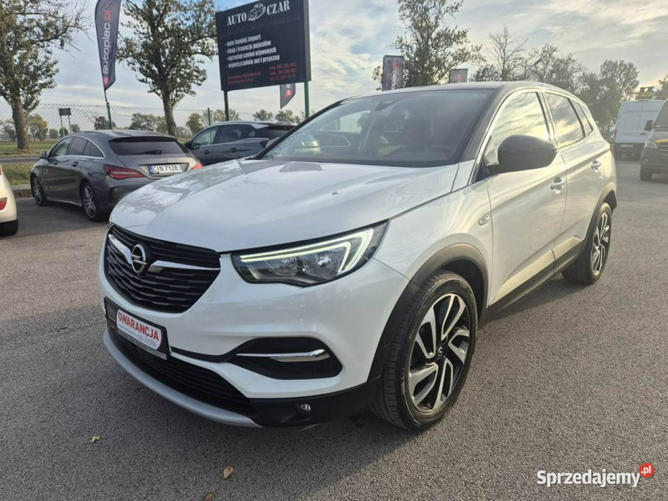 Opel Grandland X 12Turbo 130 Biała Perła Gniewkowo
