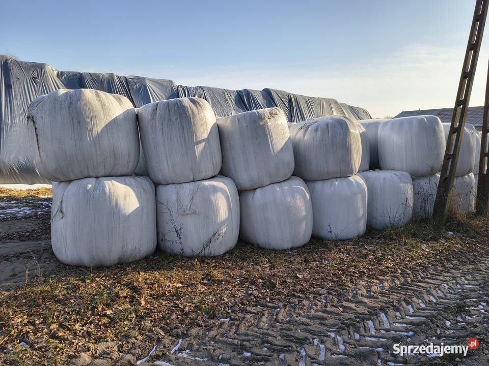 Sprzedam sianokiszonkę Radoszewice