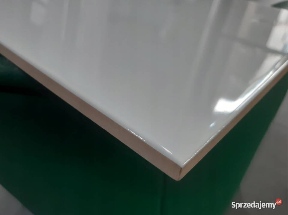 PŁYTKA ŚCIENNA VELVETIA WHITE 308X608 GAT 3 Opoczno sprzedam