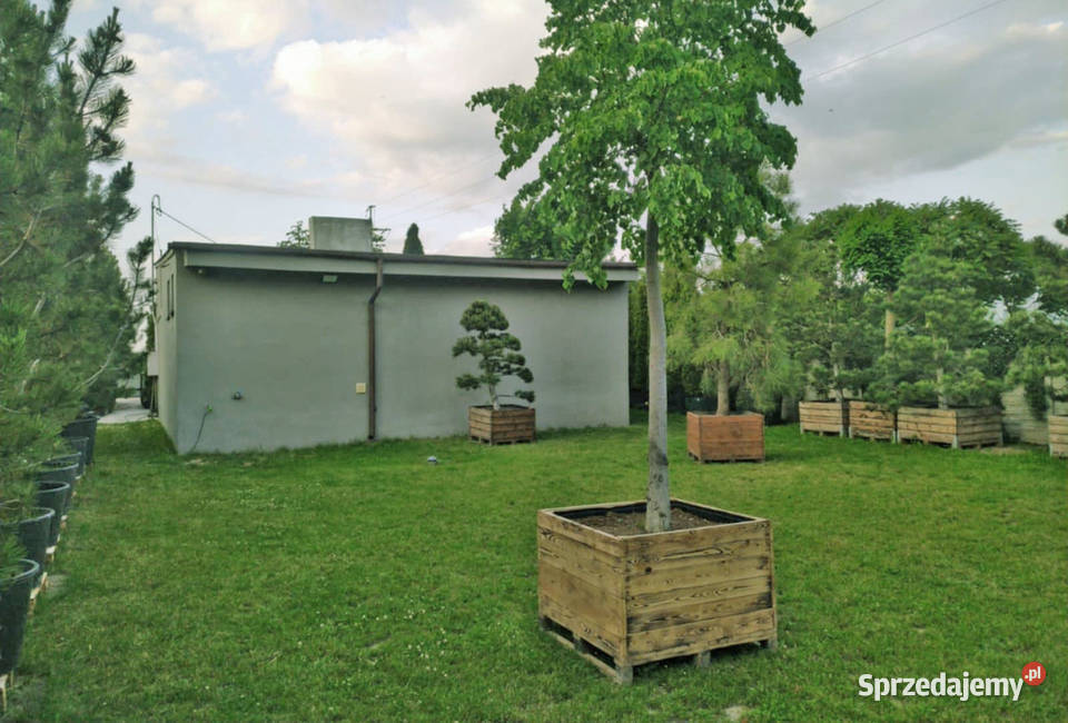 Działka budowlana 650m2 z budynkiem 88m dom prąd wolnostojący Skierniewice