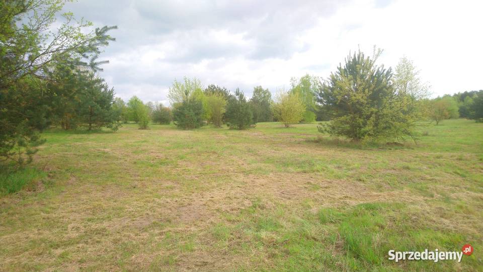 Sprzedam działkę budowlaną o pow 1000m2 z Nieruchomości Popielżyn-Zawady
