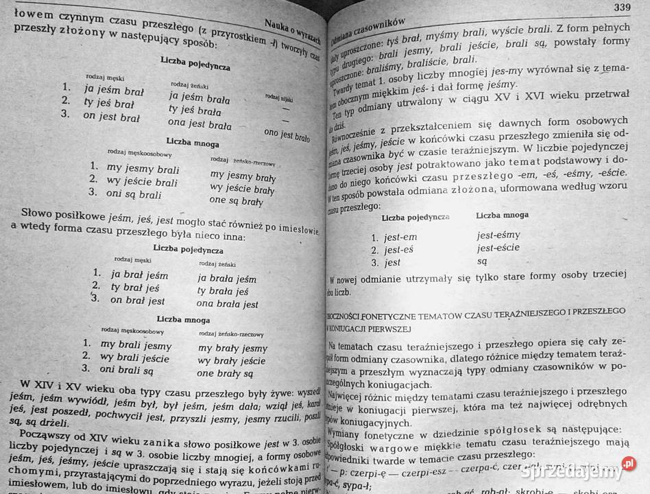 Gramatyka języka polskiego Zarys popularny Piotr