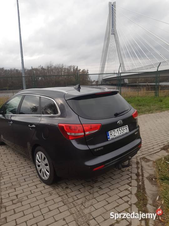 Kia ceed 2017 Rok produkcji 2017 Rzeszów sprzedam