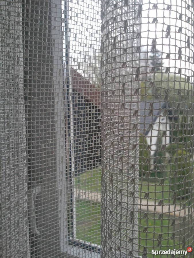 Firana siatka eru gipiura 115x230 NOWA Radom