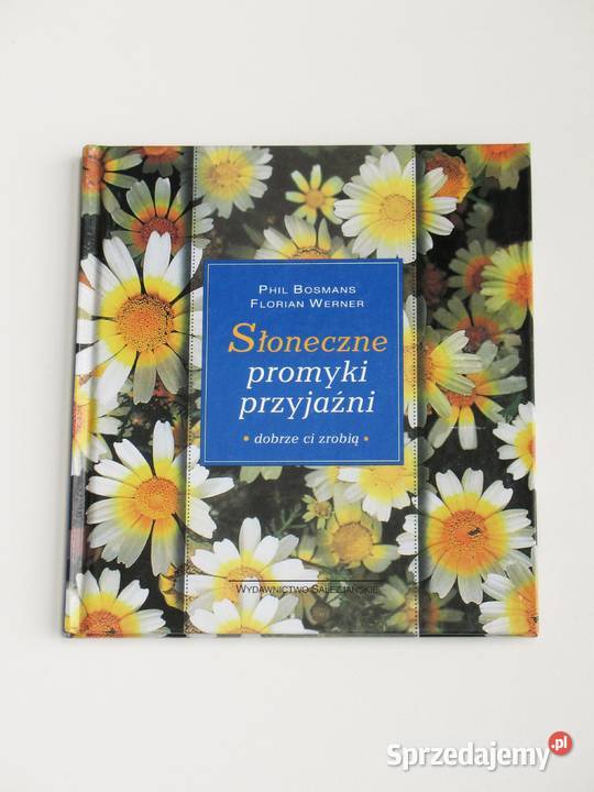 Słoneczne promyki przyjaźni małopolskie