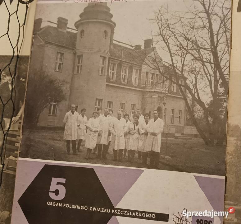 Miesięcznik Pszczelarstwo