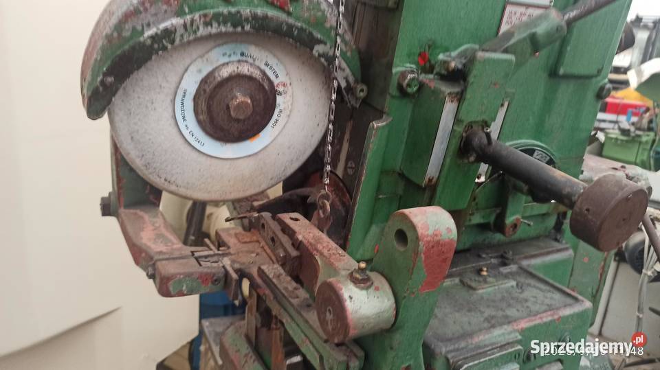 szlifierka ostrzałka do pił trakowych bratstvo lubuskie Kłodawa