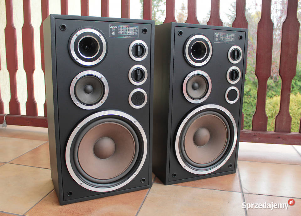 Kolumny Altus 75 klasyka stan Toruń