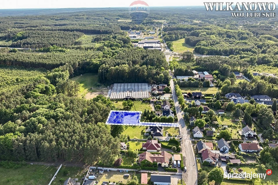 Na sprzedaż działka pod lasem 1369 m Wilkanowo sprzedam