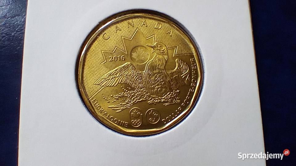 Stare monety 1 dolar 2016 Igrzyska Kanada Lesko