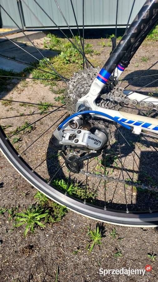 Willier La Triestina OKAZJA Warząchewka Królewska