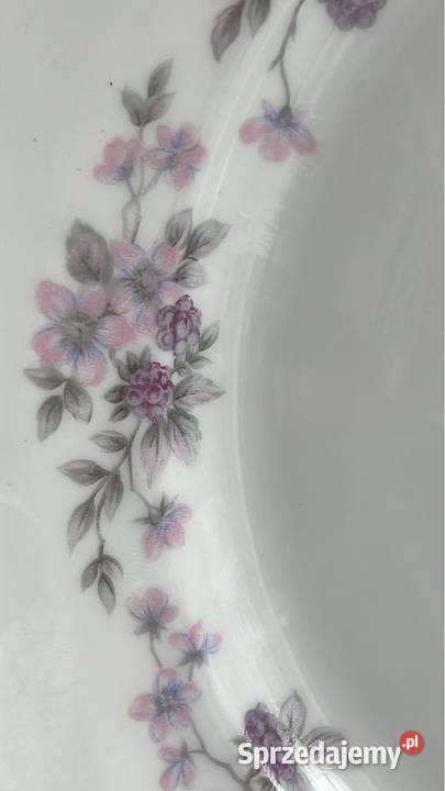 Talerz Jeżyny Syg Rosenthal Germany Sygnatura z Porcelana i szkło
