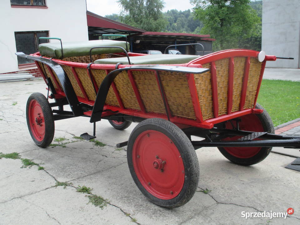 hodowla hucułów handzlówka sprzedam