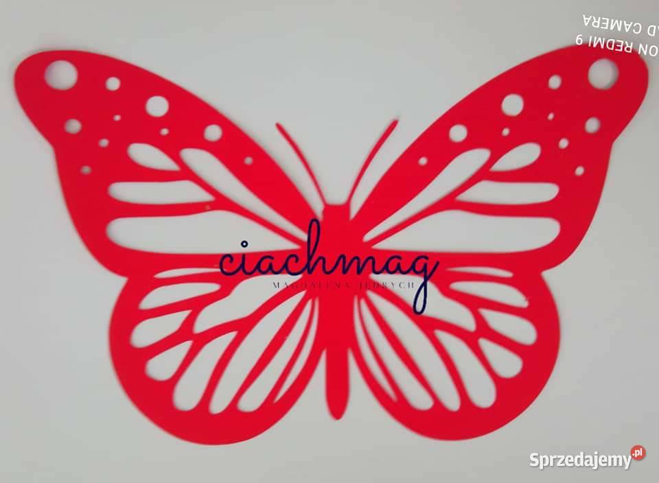 Motyle ażurowe Trojanów