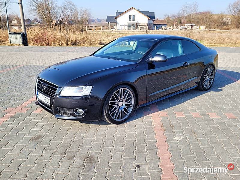 DOINWESTOWANY EGZEMPLARZ Słomniki