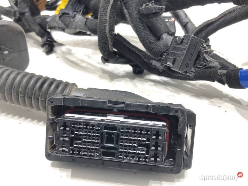 WIĄZKA DRZWI PRZÓD LEWY KIA NIRO II SG2 sprzedam