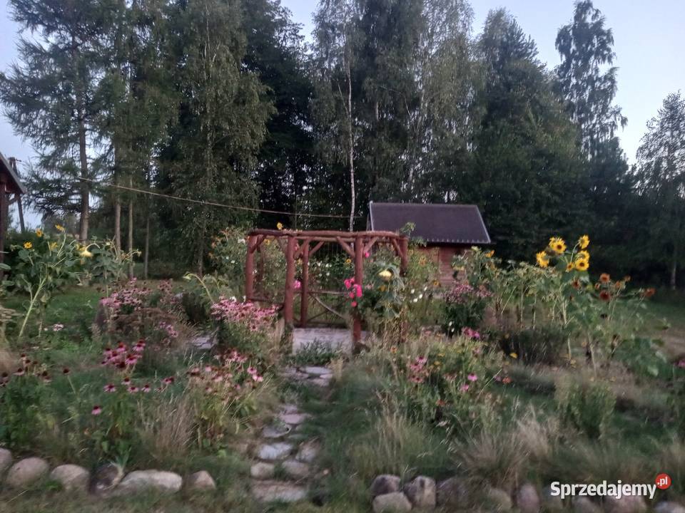 Urocze siedlisko na sprzedaż